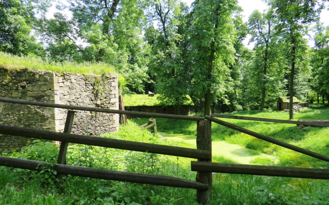 Zamek Grodziec