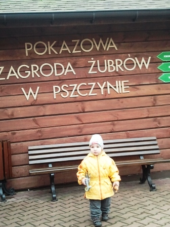 Zagroda Żubrów w Pszczynie