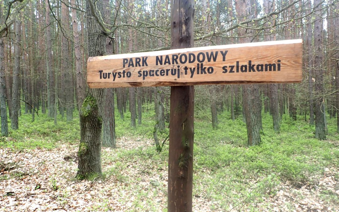 Żubrowisko Kołobrzeg