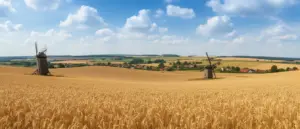 Agroturystyka wielkopolska - malownicze pola uprawne i tradycyjny wiatrak na tle wielkopolskiego krajobrazu