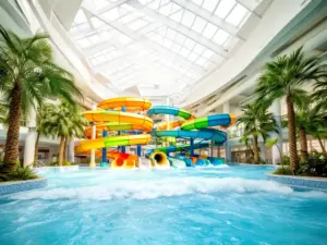 Aquapark Warszawa - nowoczesny park wodny z kolorowymi zjeżdżalniami i basenem z falami w stolicy