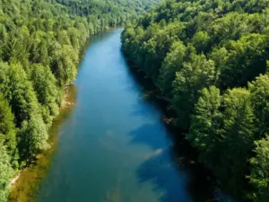 Spokojna rzeka otoczona lasem - idealne miejsce na spływ kajakowy, co zabrać na kajaki