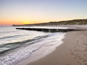 Plaża w Dębkach przyjazna psom - idealne miejsce na dębki nocleg z psem nad Bałtykiem