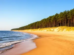 Szeroka piaszczysta plaża w Grzybowie idealna na wypoczynek – grzybowo noclegi nad morzem w spokojnej okolicy