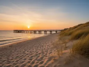 Plaża na Helu idealna na spacery z psem - hel noclegi z psem w pobliżu malowniczego wybrzeża Bałtyku