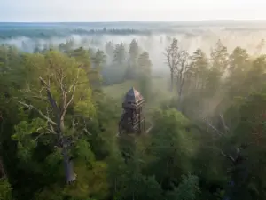 Puszcza Białowieska widok z lotu ptaka – okolica gdzie znajduje się hotel białowieski przy parku narodowym