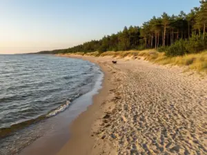 Plaża w Jantarze nad Morzem Bałtyckim – idealne miejsce na jantar noclegi z psem, piaszczyste wybrzeże z wydmami