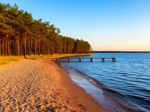 Plaża w Jarosławcu z widokiem na molo i las sosnowy – idealne miejsce na noclegi nad Bałtykiem