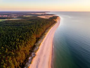 Jurata noclegi nad Morzem Bałtyckim – widok na plażę i las sosnowy na Mierzei Helskiej