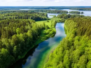 Malowniczy szlak kajakowy rzeki Krutyni przepływający przez mazurskie jeziora i lasy – kajaki Krutynia