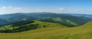 Widok z kamery Bieszczady pokazujący panoramę górskich połonin i lasów w słoneczny dzień