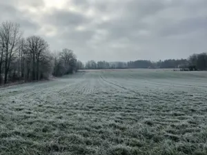 Zimowy krajobraz Polski w lutym pokazujący pogodę na luty 2026 z mrozem i szarym niebem