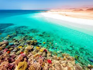 Rafa koralowa i turkusowe wody Morza Czerwonego idealne na wakacje Marsa Alam last minute dla nurków i plażowiczów