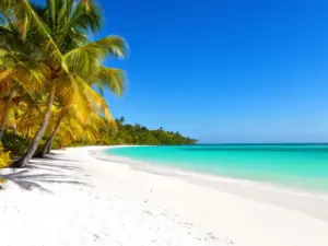 Tropikalna plaża z palmami idealna na wakacje październik gdzie ciepło z krystalicznie czystą wodą